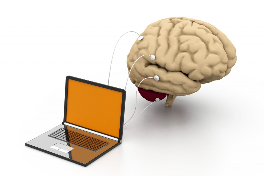Experienta clientului in E-commerce. Ce ne spune creierul limbic?