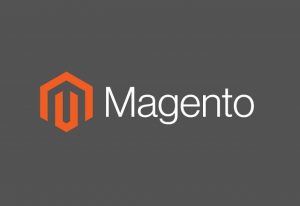Tips-uri pentru Magento: cum sa ai preturi competitive fara un software