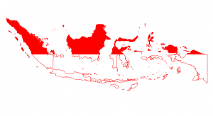 WhatsApp vrea sa lanseze platile mobile in Indonezia