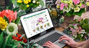 Floria.ro: cifra de afaceri de 10,67 milioane lei, in 2023 (+7,5% YoY)