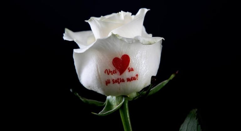 FlorideLux.ro lanseaza primul serviciu de imprimare a mesajelor pe flori