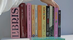 Libris.ro: peste 25% dintre vanzari au fost carti pentru copii, in prima jumatate a verii
