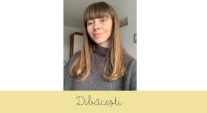 ECOMpedia a stat de vorba cu Dibacesti.ro