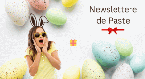 Campanii Email Newsletter Paste