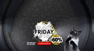 Flanco a dat startul celei de-a 13-a editii de Black Friday