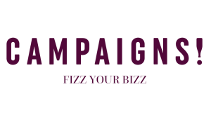 Agentia de marketing online Campaigns a incheiat 2023 cu o CA de 1 milion €