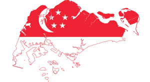 Singapore: 72% dintre membrii Generatiei Z fac shopping online (raport)