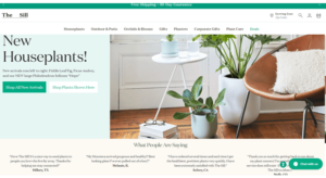 The Sill renunta la magazinele fizice cu plante de apartament si se muta online