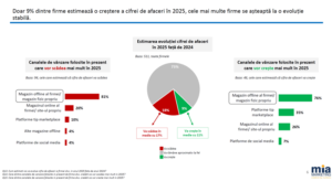 Platformele internationale risca sa goleasca vitrinele offline locale (studiu)