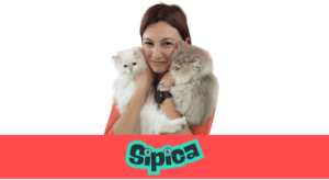 ECOMpedia a stat de vorba cu Sipica.ro